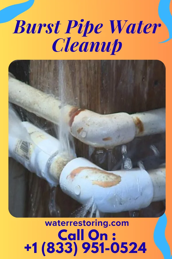 Burst Pipe Water Cleanup in Pocono Woodland Lakes, PA