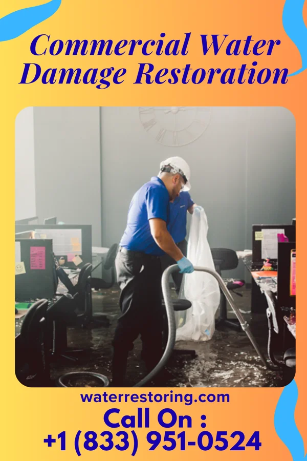 Commercial Water Damage Restoration in Pocono Woodland Lakes, PA