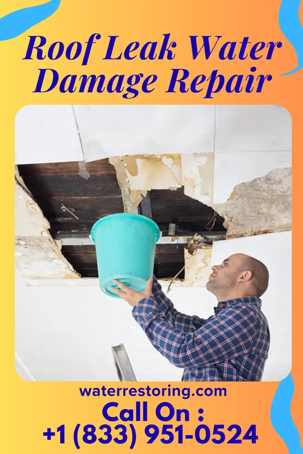 Roof Leak Water Damage Repair in Pocono Woodland Lakes, PA