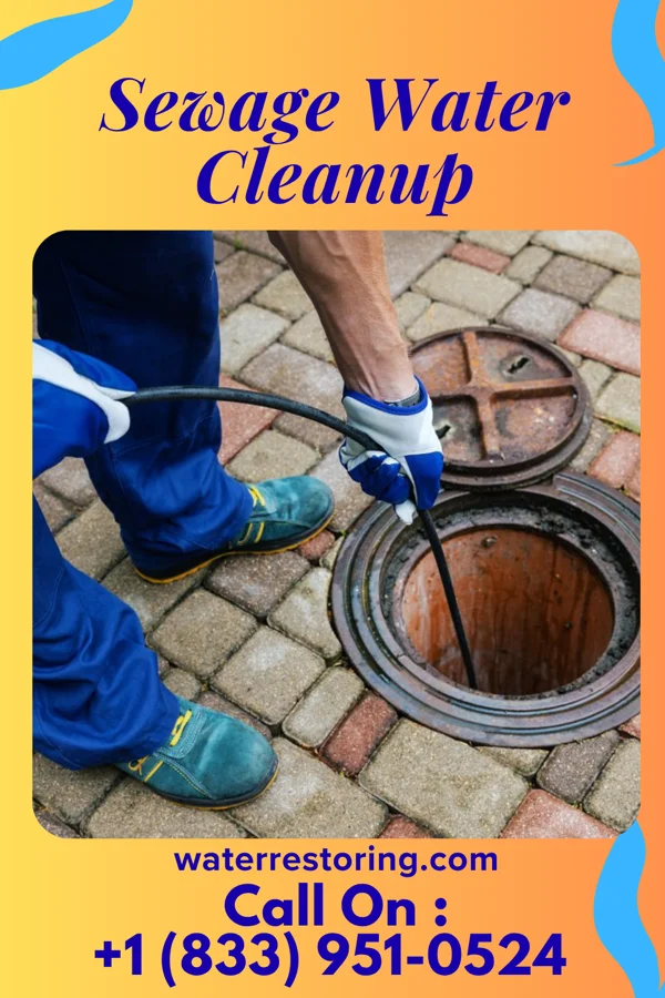 Sewage Water Cleanup in Pocono Woodland Lakes, PA