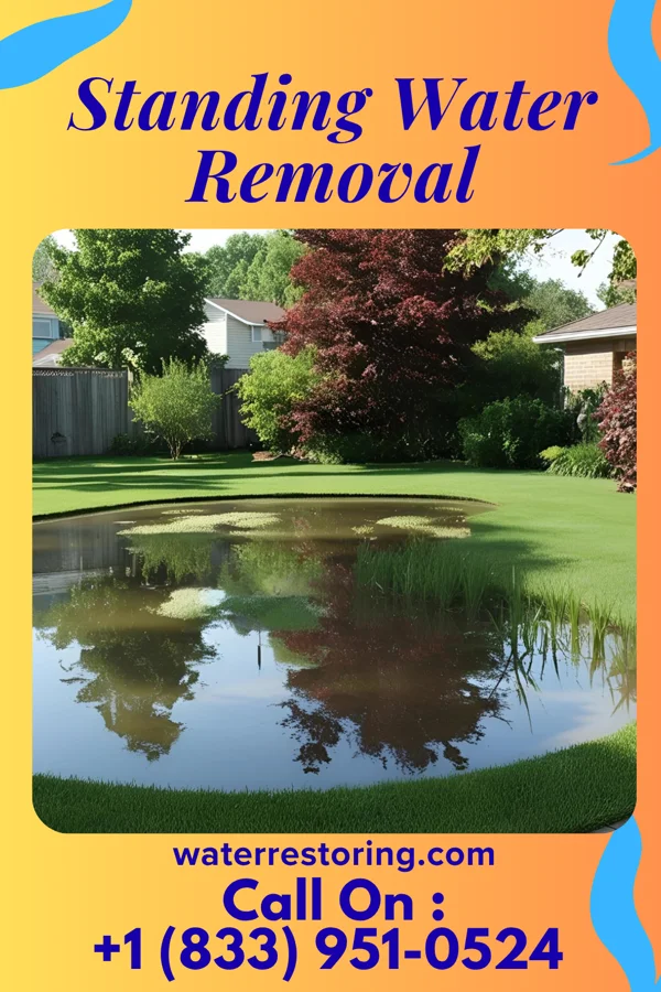 Standing Water Removal in Pocono Woodland Lakes, PA
